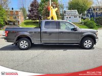 Ford F-150 XLT 2020-4