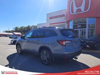 Honda Pilot Sport 2022-6