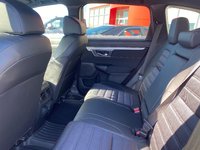 Honda Civic Sedan  2023-6