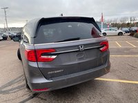 Honda Odyssey  2022-5