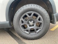 2025 Honda Pilot TrailSport-5