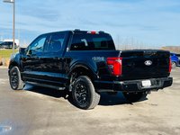 Ford F-150 XLT 2024-1