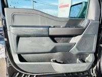 Ford F-150 XLT 2024-7