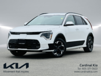 Kia Niro EV Wave 2026-0