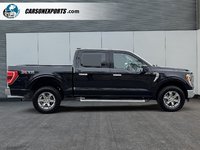 2023 Ford F-150 XLT 302A PACKAGE PANO ROOF! FINANCING AVAILABLE!-3