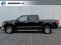 2023 Ford F-150 XLT 302A PACKAGE PANO ROOF! FINANCING AVAILABLE!-7