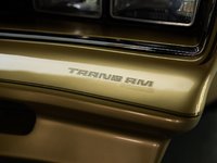 1978 Pontiac Firebird Trans Am-6