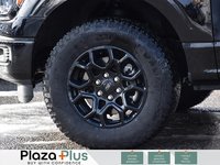 2025 Ford F-150 XLT-6