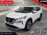 2022 Nissan Rogue SV-0