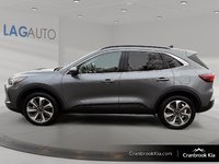 2024 Ford ESCAPE PLATINUM-4