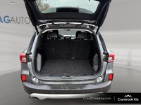 2024 Ford ESCAPE PLATINUM-5