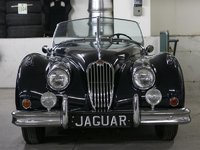 1955 Jaguar Unlisted Item-3