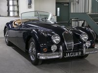 1955 Jaguar Unlisted Item-0
