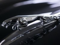 1955 Jaguar Unlisted Item-1