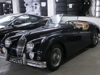 1955 Jaguar Unlisted Item-0