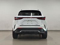 2024 Lexus NX 350-4