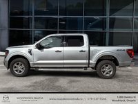 2024 Ford F-150 XLT-4