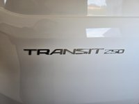 Ford Transit Cargo Van TRANSIT // CARGO 2023-5