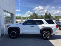 2025 Toyota 4RUNNER TRD OFF ROAD PR-4