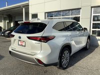 2024 Toyota HIGHLANDER PLATINUM-6