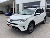 2017 Toyota RAV4 XLE HYBRID-1