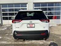 2019 Toyota RAV4 XLE-6
