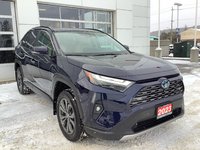 2023 Toyota RAV4 LTD-1