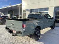 2023 Toyota TACOMA-6