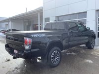 2023 Toyota TACOMA-2