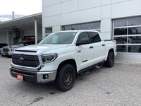 2021 Toyota TUNDRA TRD PREMIUM-1