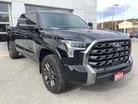 2023 Toyota TUNDRA PLATINUM-1