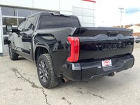 2023 Toyota TUNDRA PLATINUM-6