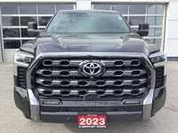 2023 Toyota TUNDRA PLATINUM-2