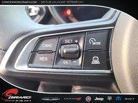 Dodge HORNET GT Plus 2024-18