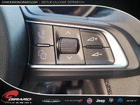 Dodge HORNET GT Plus 2024-16