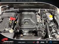 Jeep Wrangler High Altitude 2023-10