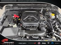 Jeep Wrangler High Altitude 2023-10