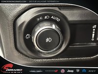 Jeep Wrangler Sahara Altitude 2023-19