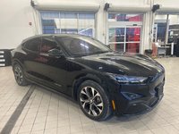 Ford Mustang Mach-E Premium 2021-3