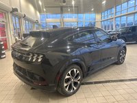 Ford Mustang Mach-E Premium 2021-5