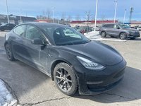 Tesla Model 3 Standard Range Plus 2020-6