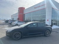 Tesla Model 3 Standard Range Plus 2020-0