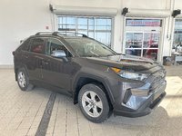 Toyota RAV4 LE 2019-3