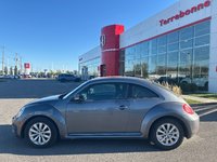 Volkswagen Beetle Coupe TDI 2013-2