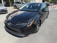 2021 Toyota Corolla LE-1