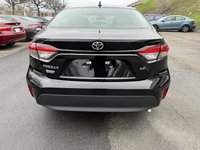Toyota Corolla LE Upgrade 2023-4