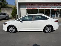 Toyota Corolla LE 2024-2