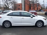 Toyota Corolla LE 2024-2