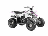 Apollo GIZMO 120 EFI  2020-1