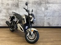 2023 SCOOTTERRE AR-50-1